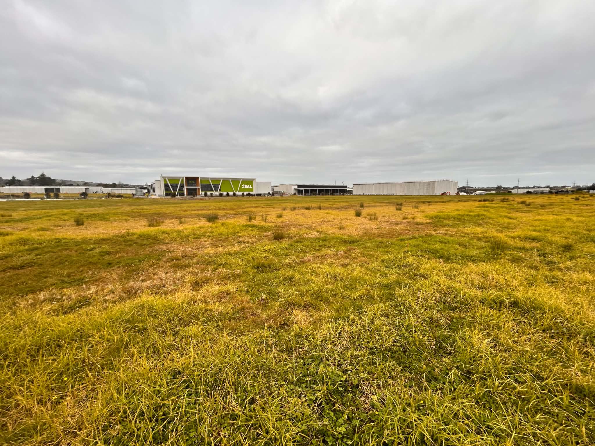 A commercial lot with grass grown long and gone to seed