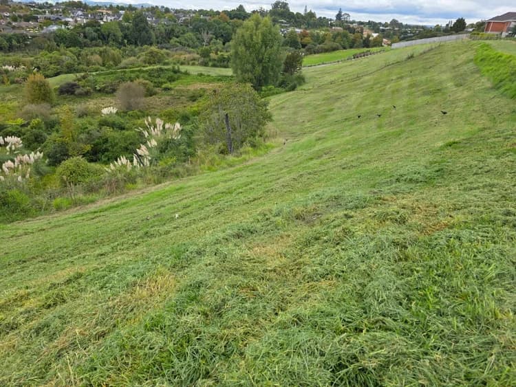Completed commercial mowing on a reserve area near Tauranga