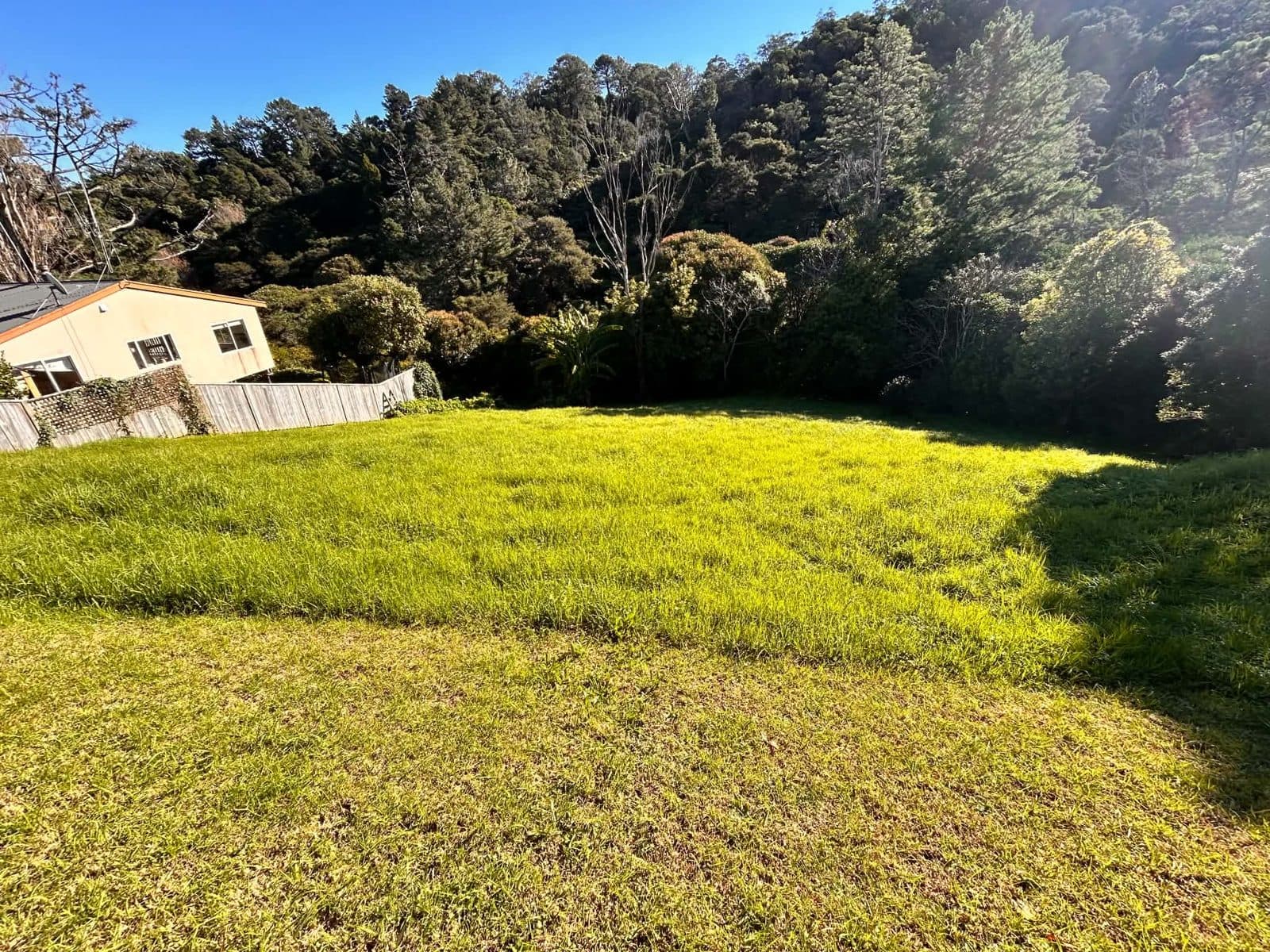 A sloped residential lawn with growth that has got away