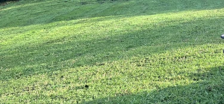 Flail mowing on a steep face