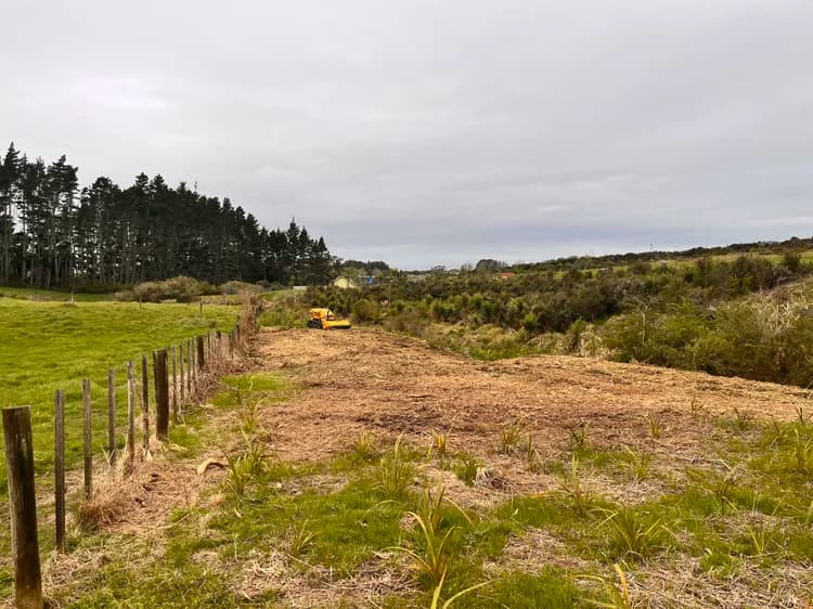 The same Auckland site cleared and mulched