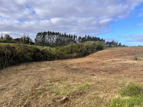 Farm boundary fence line cleared of gorse and woolly nightshade