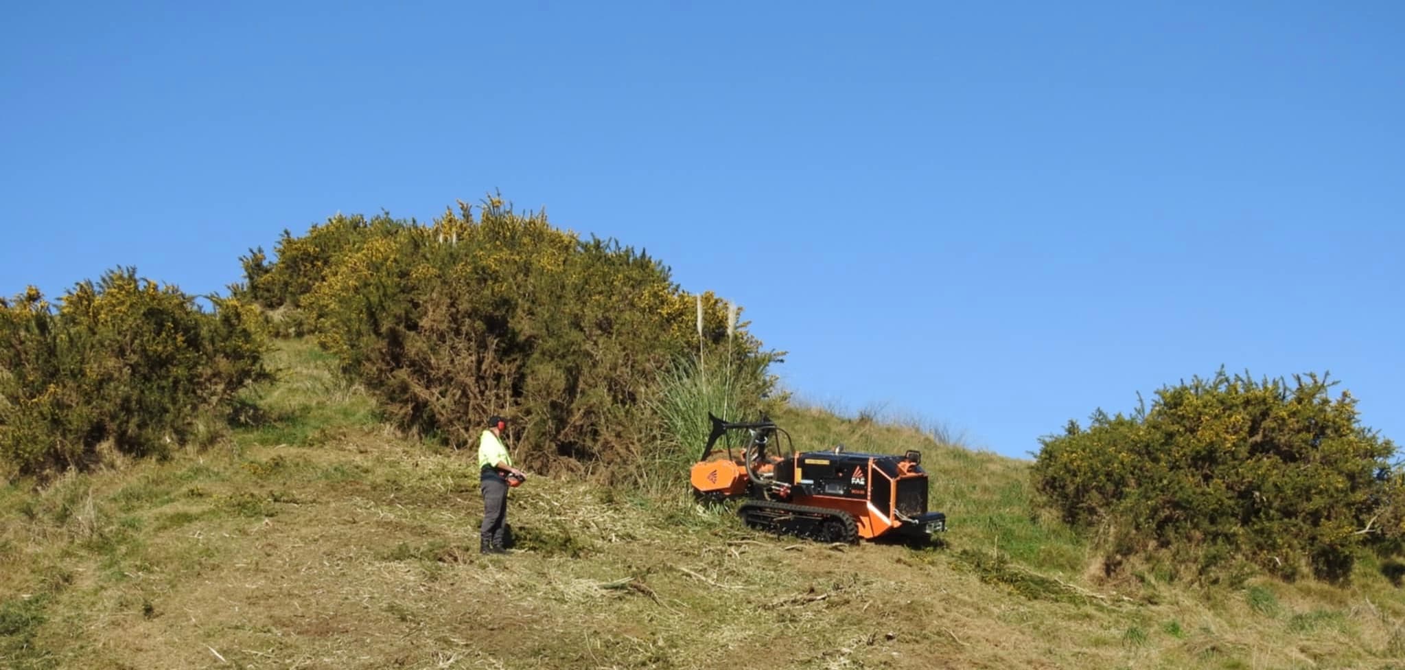 Remote-controlled mulcher clearing a steep gorse face, operator on stable ground above