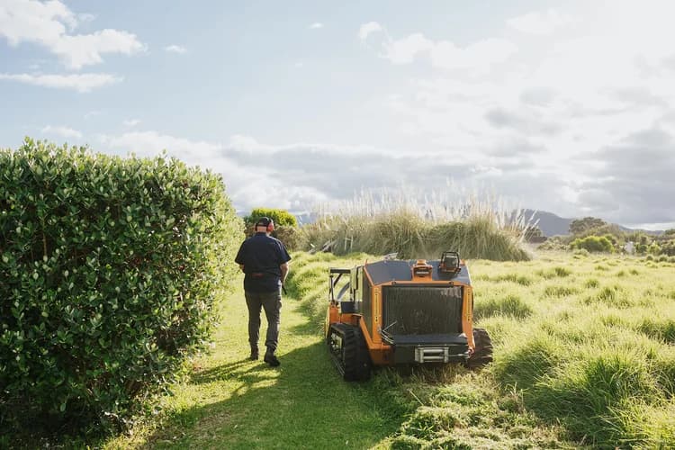 Pest plant growth being mulched by GRazer NZ