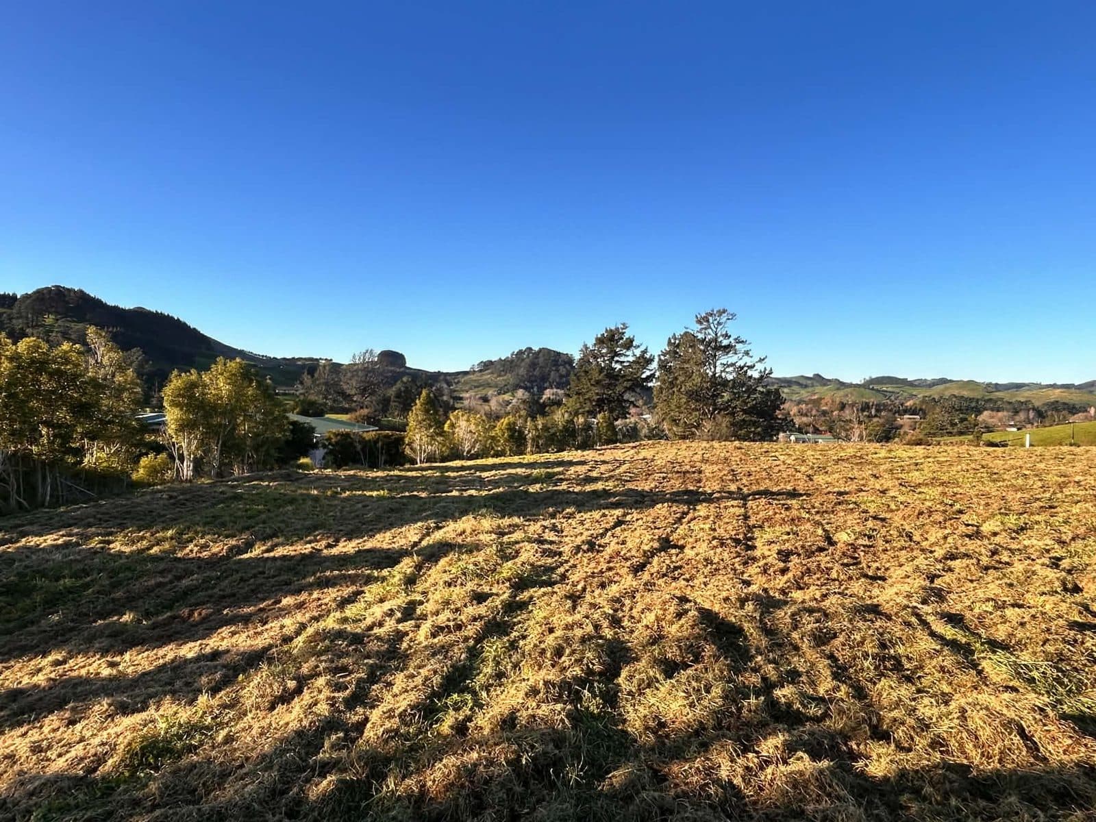 The same paddock topped to a clean even finish