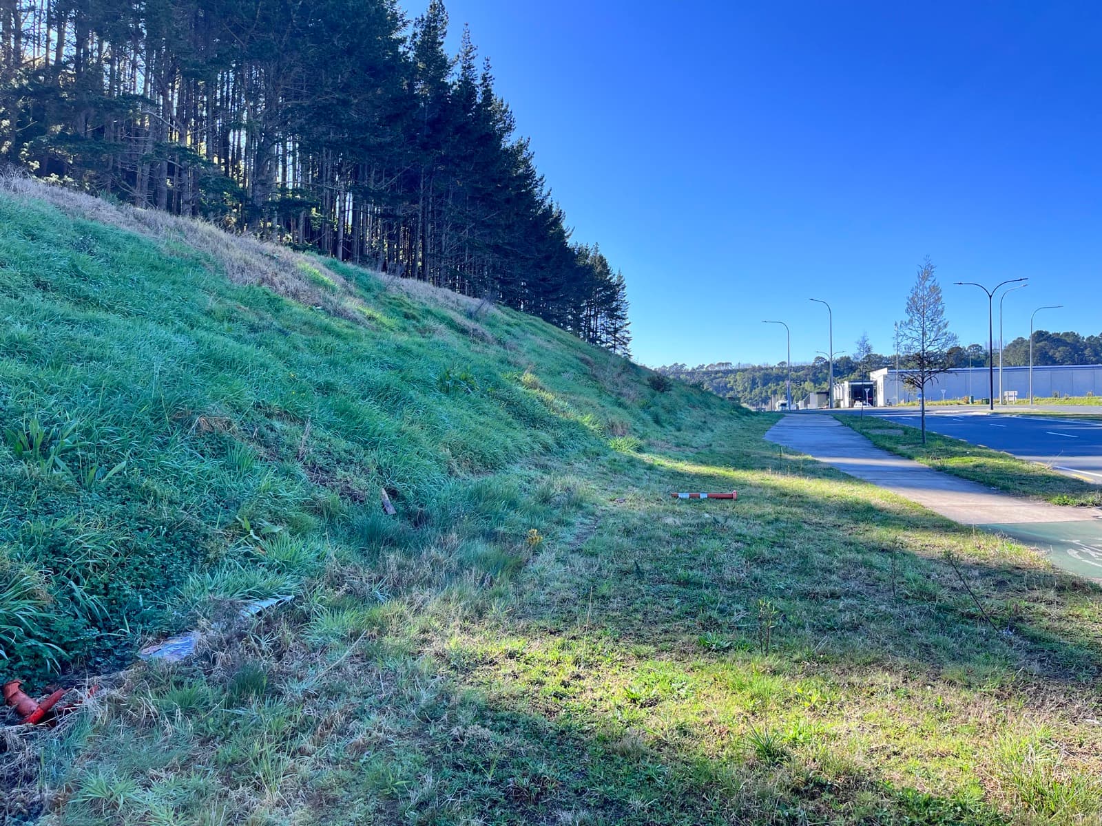 A roadside batter with grass grown long and rank above the footpath