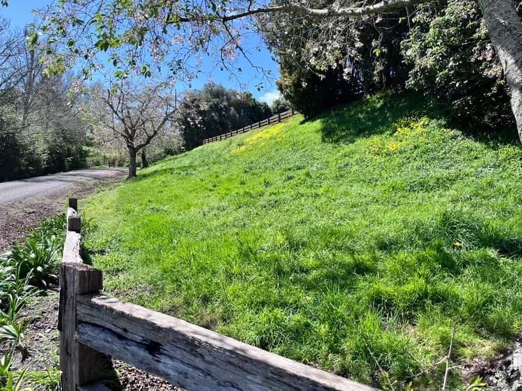 Steep bank maintenance mowing near Tauranga
