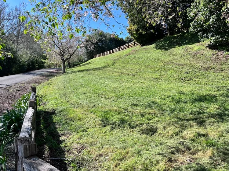 The same bank mown to a clean even finish